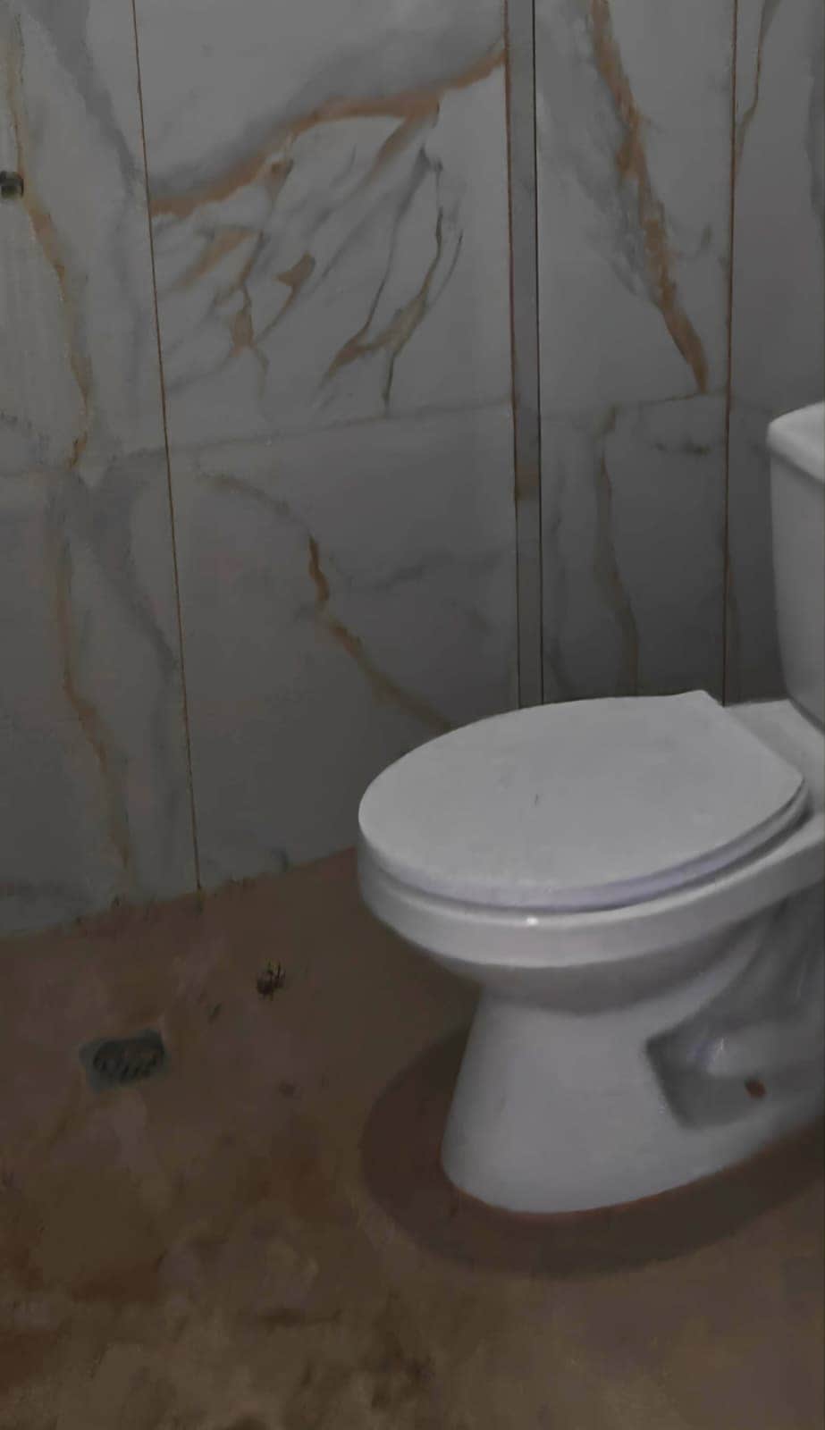 WhatsApp Image 2026-02-26 at 13.17