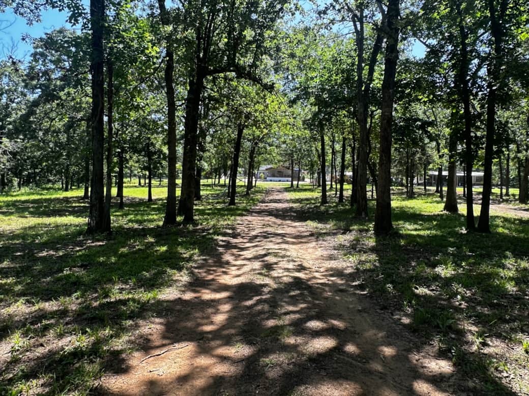 Trail Back up to House