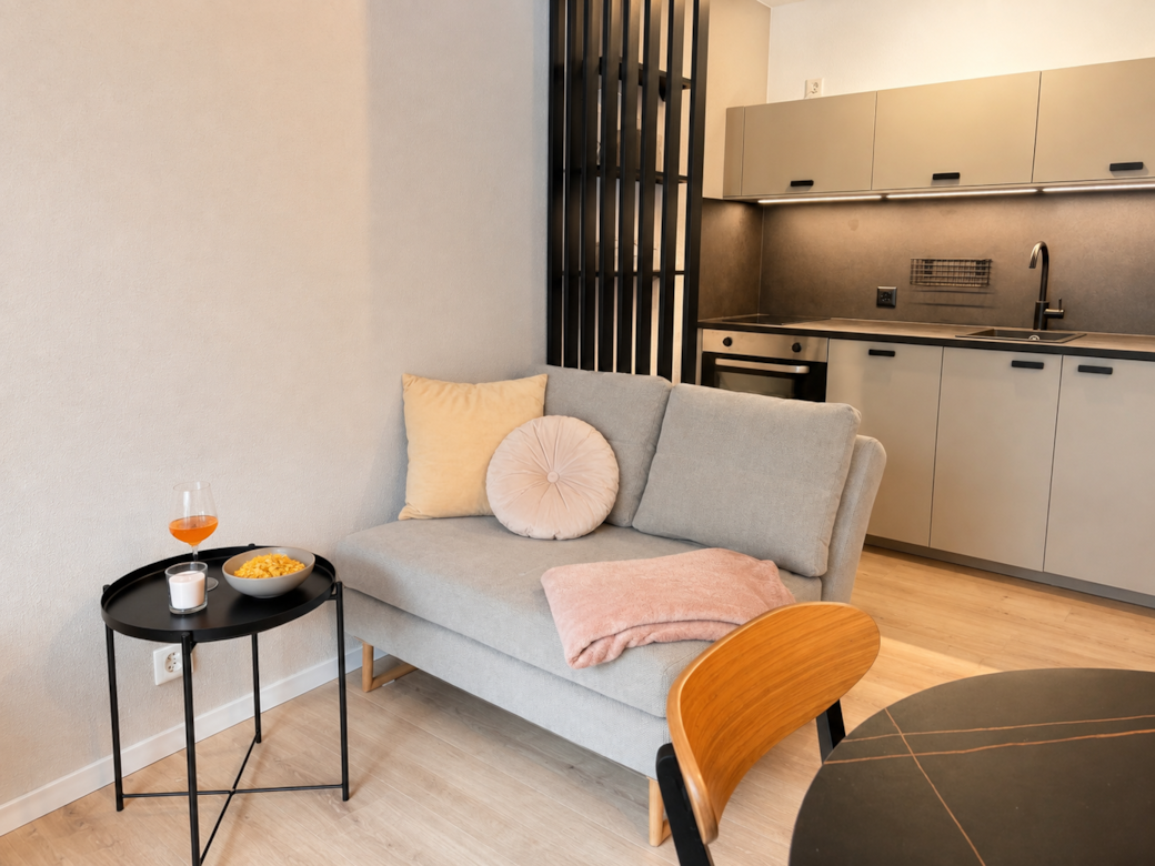 Gemütlicher Wohnbereich mit Schlafsofa und moderner Küche