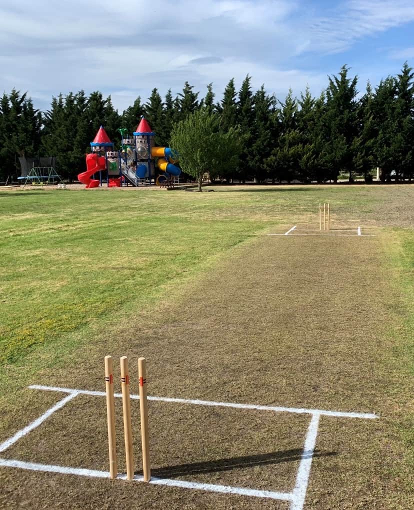 Cricket Pitch