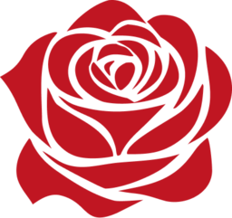 Roses of Jordan