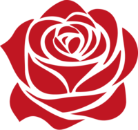Roses of Jordan