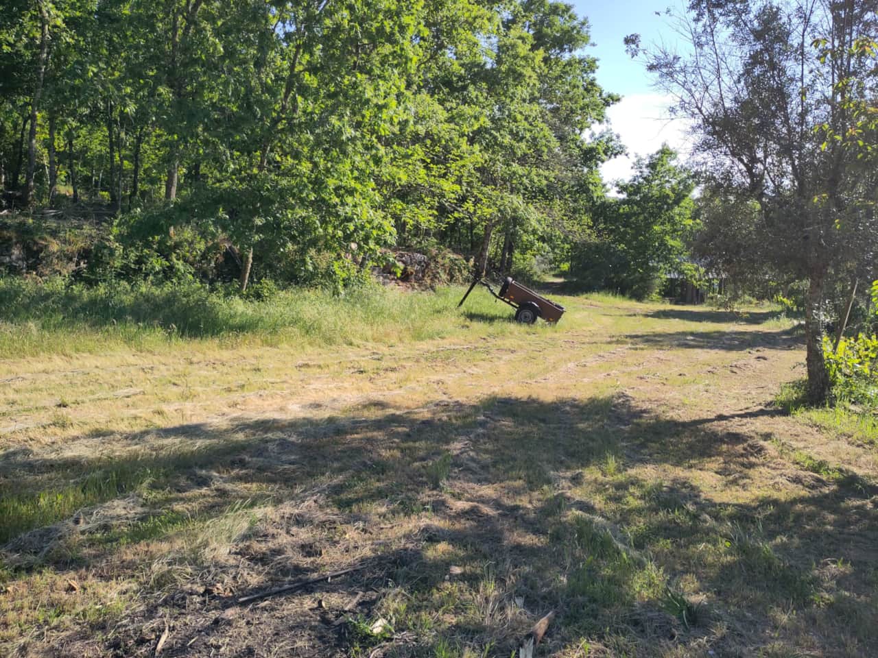 Kampeerveld eikenbomen