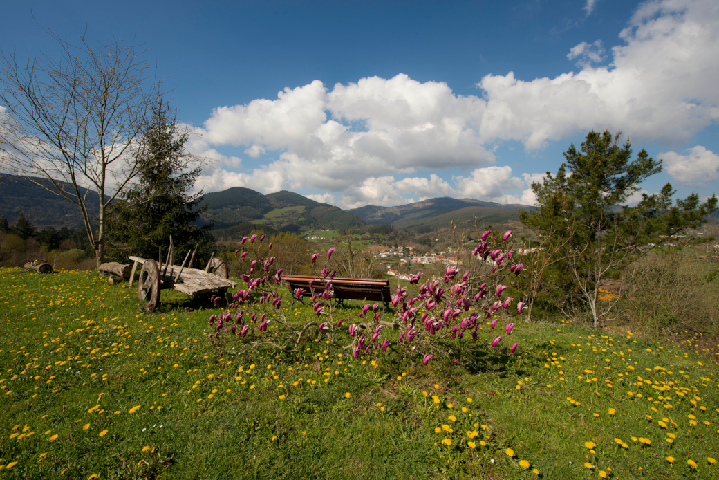 JARDIN-E-BIZKAI-BARE