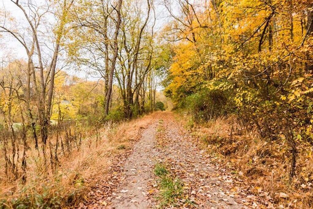 The road goes ever on and on.