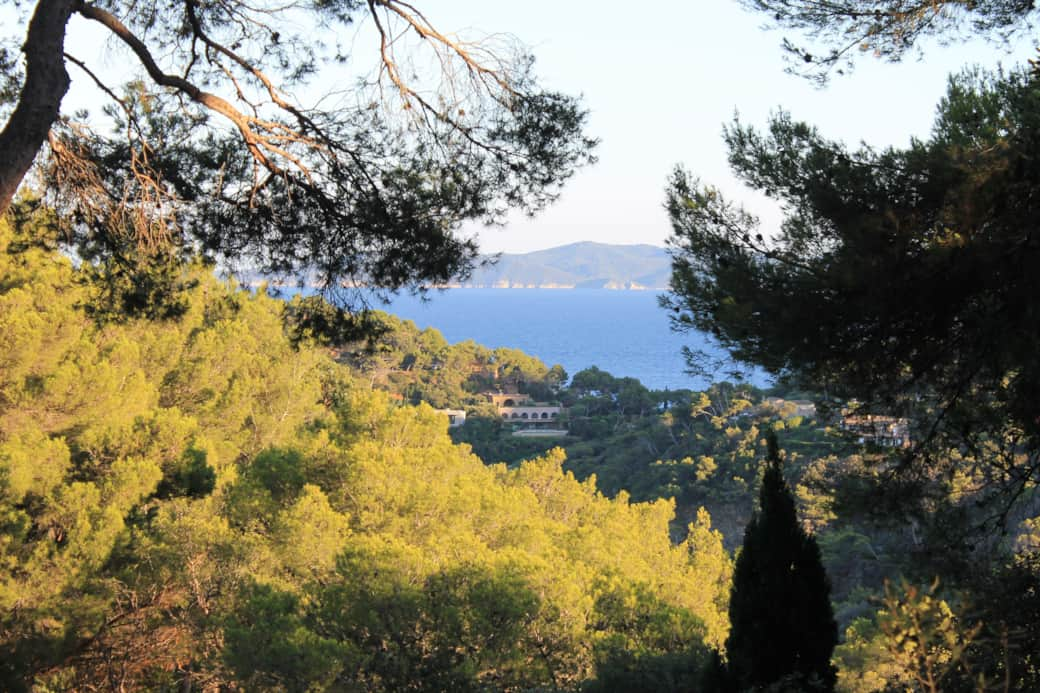 Vue mer depuis la terrasse et jardin