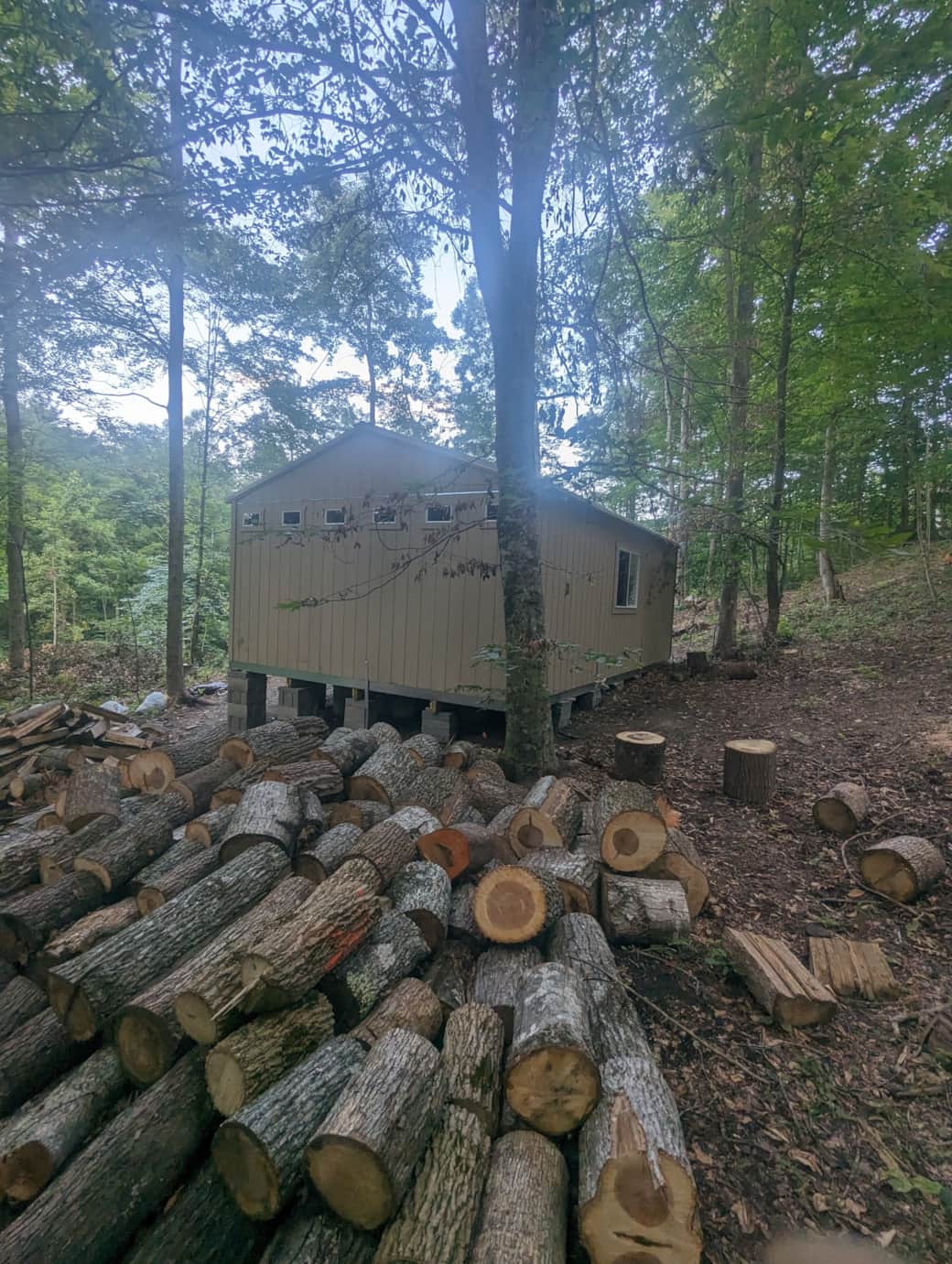 Never run out of firewood again.