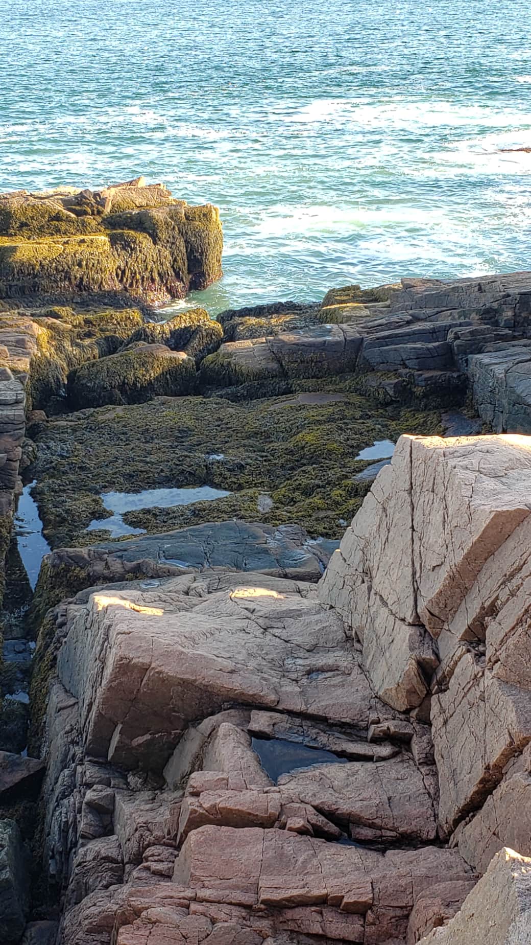 Rocky granite views of the Atlantic near the Thunder Hole, Acadia National Park Rocky granite views of the Atlantic near the Thunder Hole, Acadia National Park