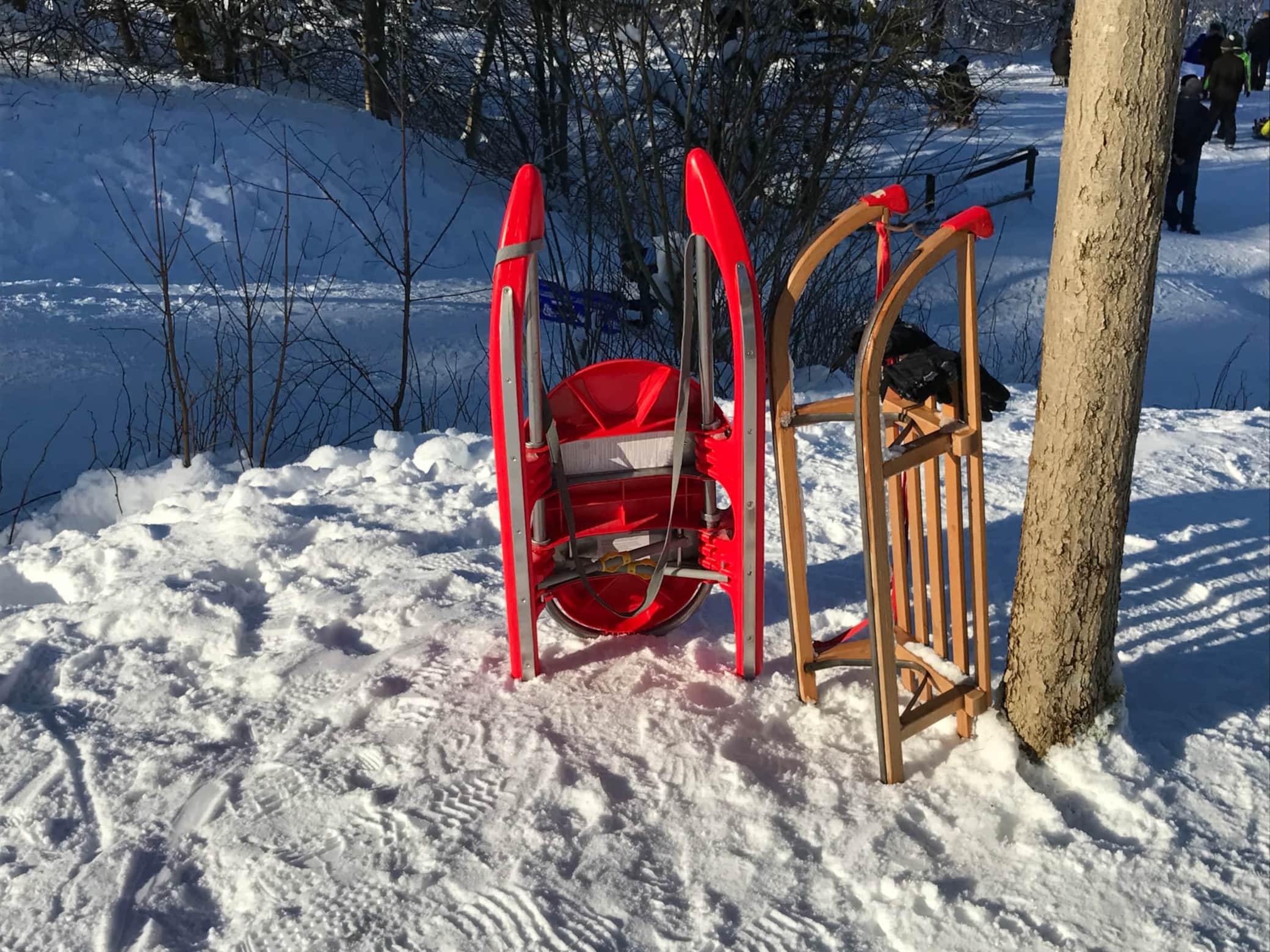 Rodelspaß in Hahnenklee