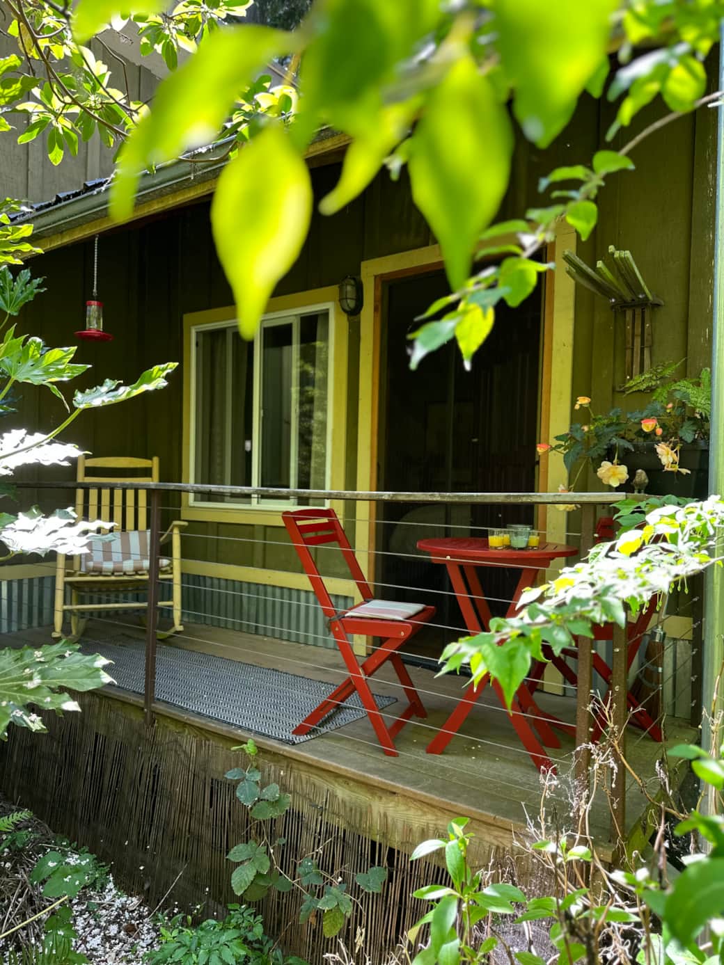 Pine Cone Cabin’s porch- Morning light and hummingbirds Pine Cone Cabin’s porch- Morning light and hummingbirds