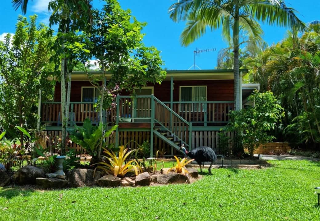 Mission Dreaming - cassy Mission Dreaming - cassy