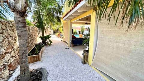 Rustig zijpad bij Kas Luna in de wijk Belnem op Bonaire, omgeven door palmbomen en natuursteen.
