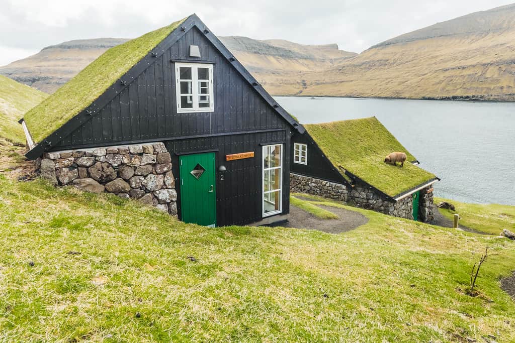 Outside and sheep