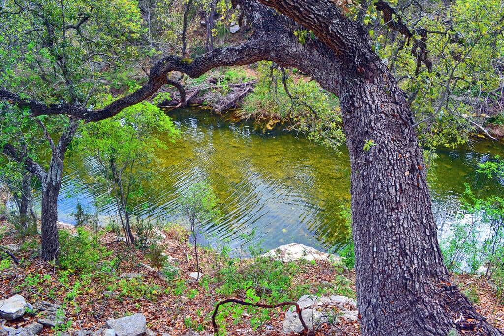 Lovely Smith Creek