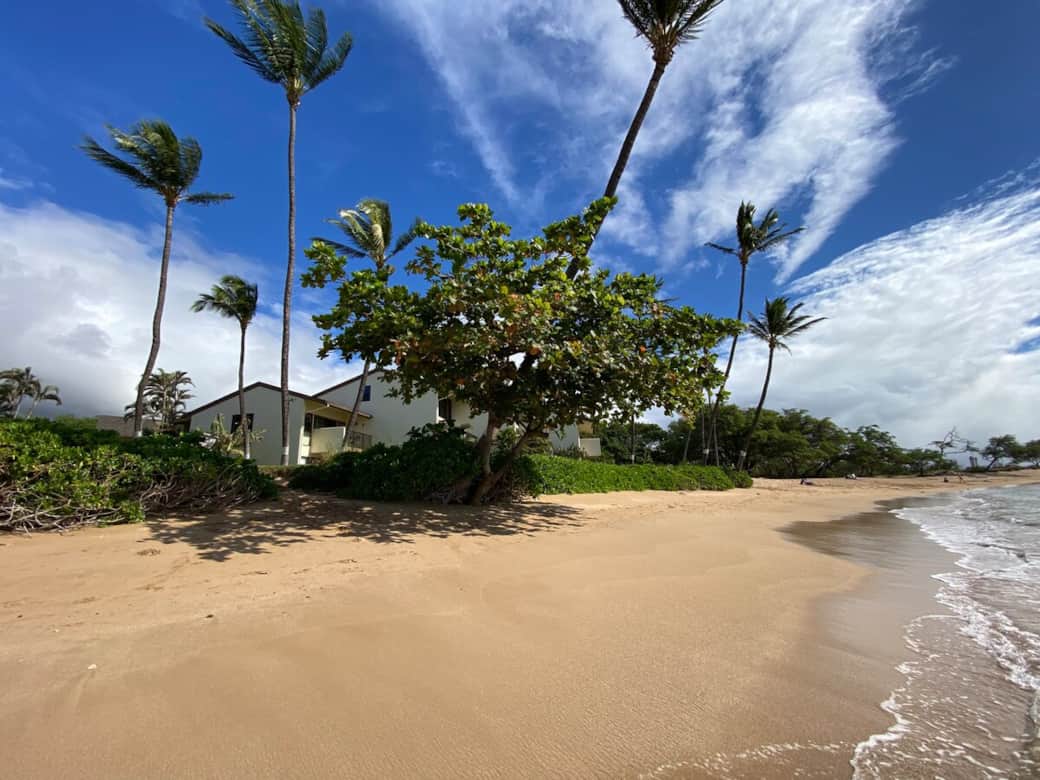 Your private access to the beach is just to the left of tree.