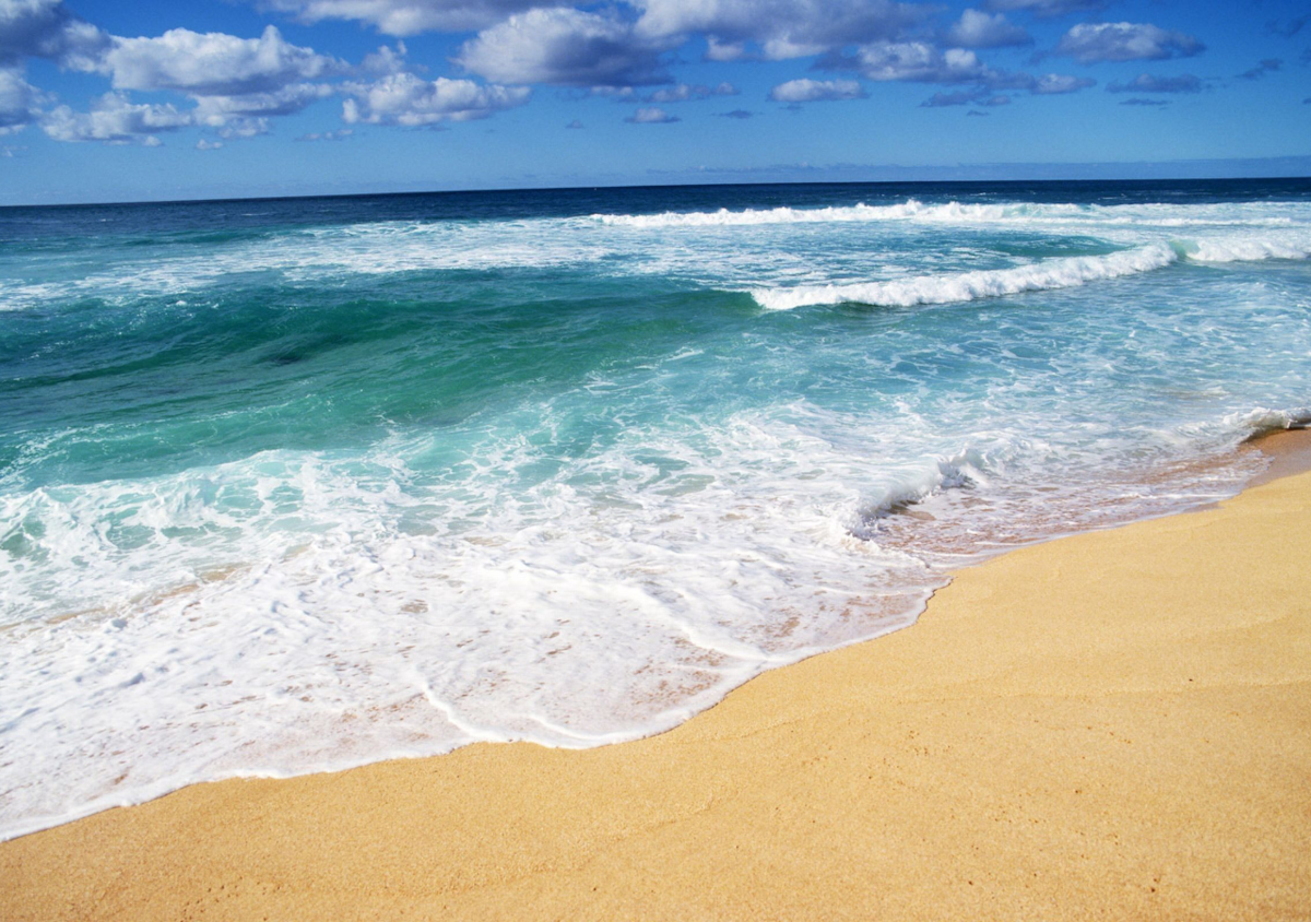 Sandy beach right in front of the residence