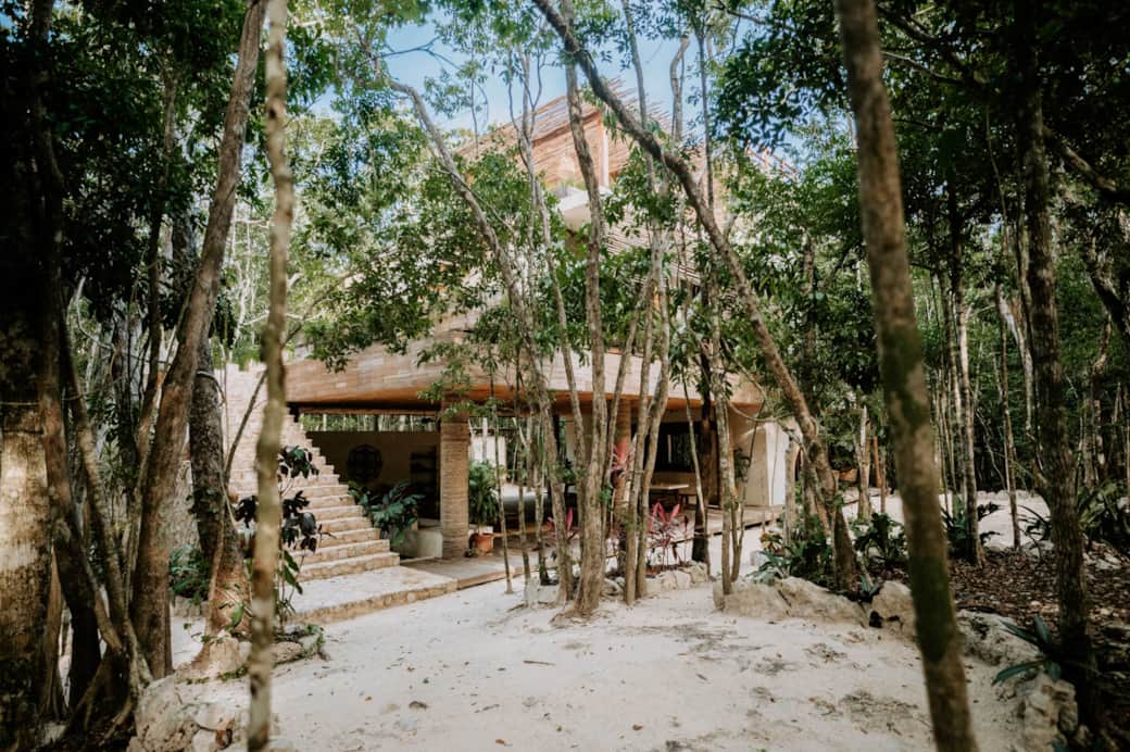 Set between the trees