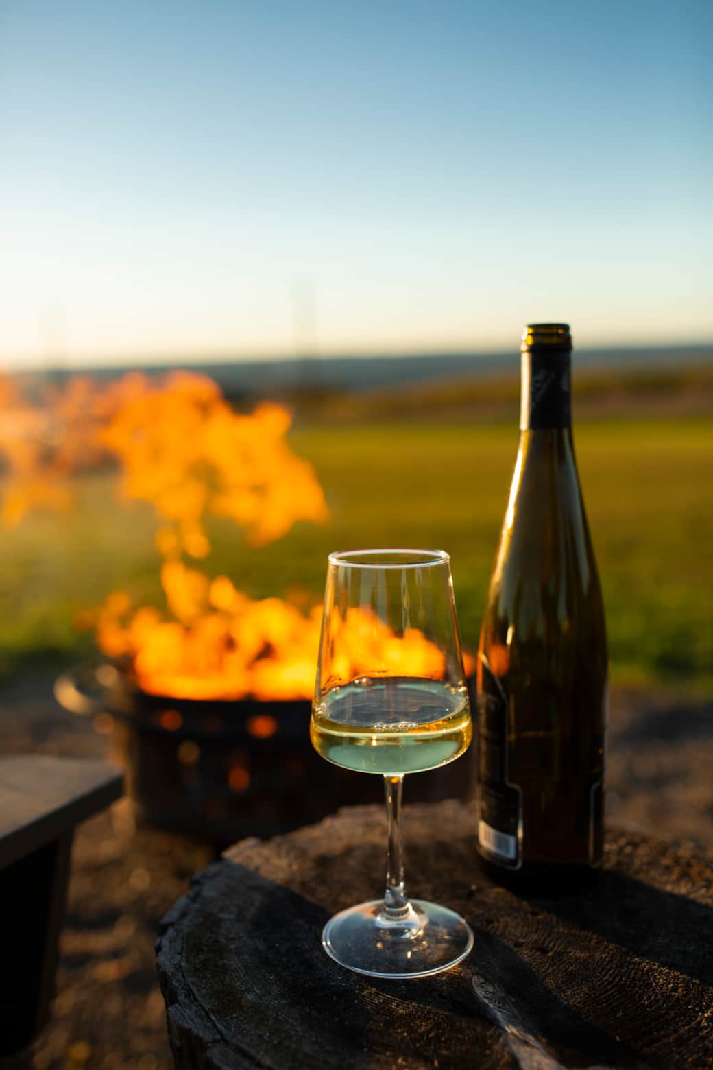 Wine Fire Wine Fire