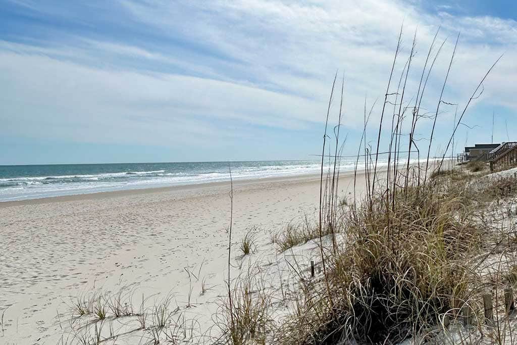 Surf city swell beach day