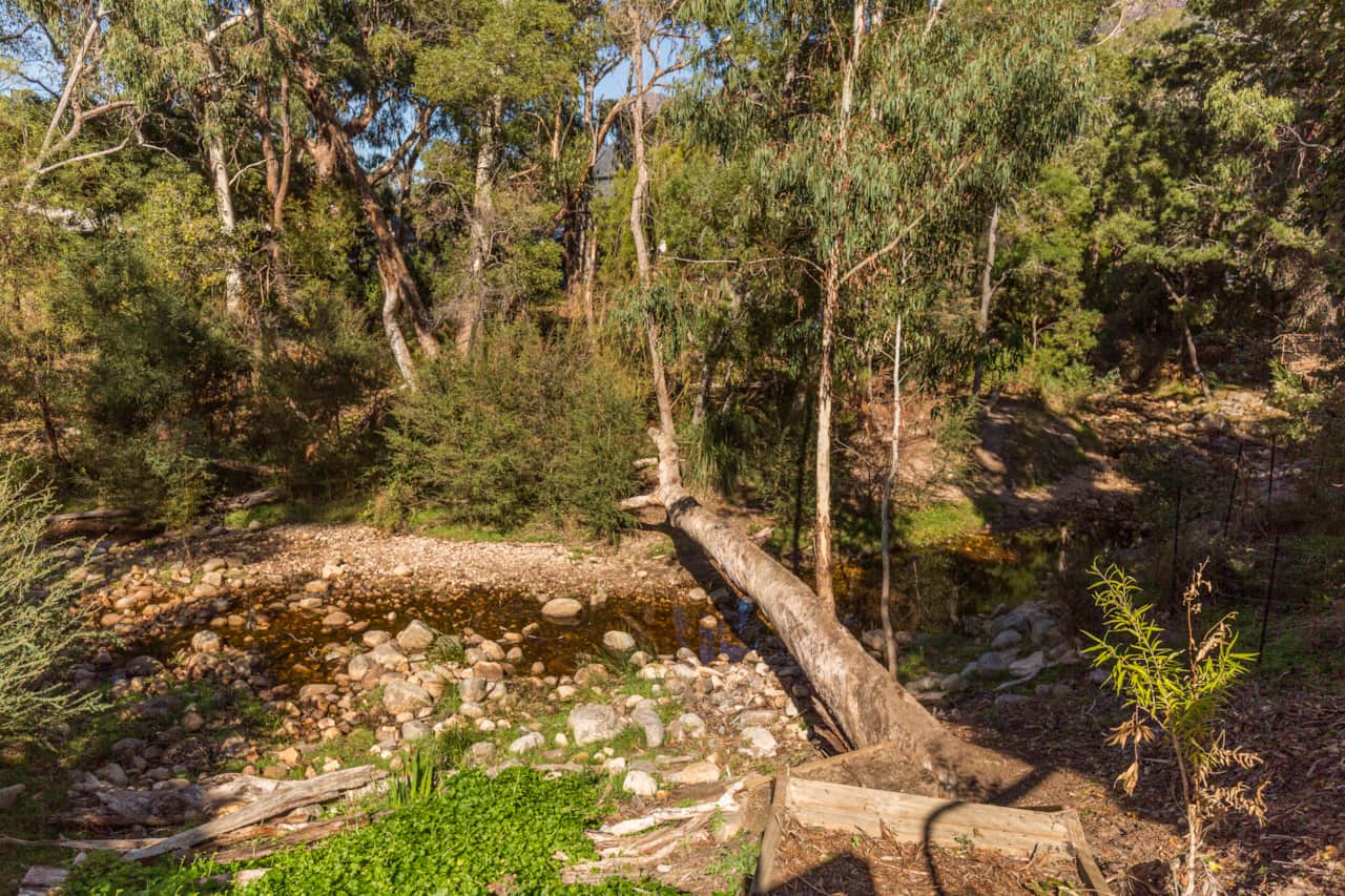 Stoney Creek in the backyard: Serene natural beauty at your doorstep.