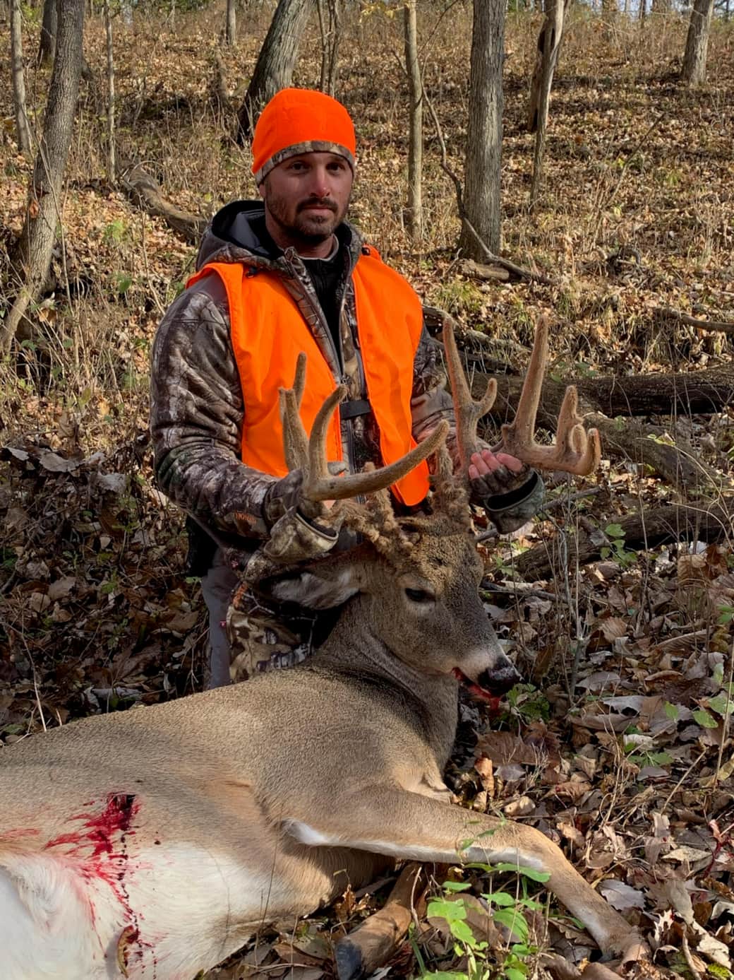 Deer 8