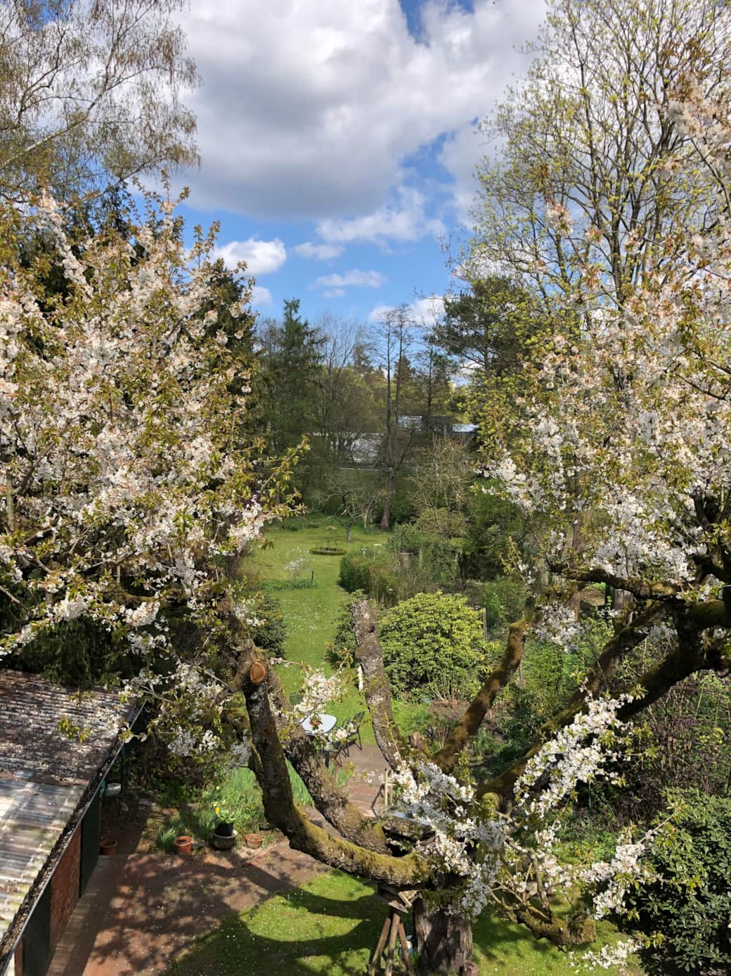 Foto 25.04