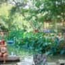 Rental image