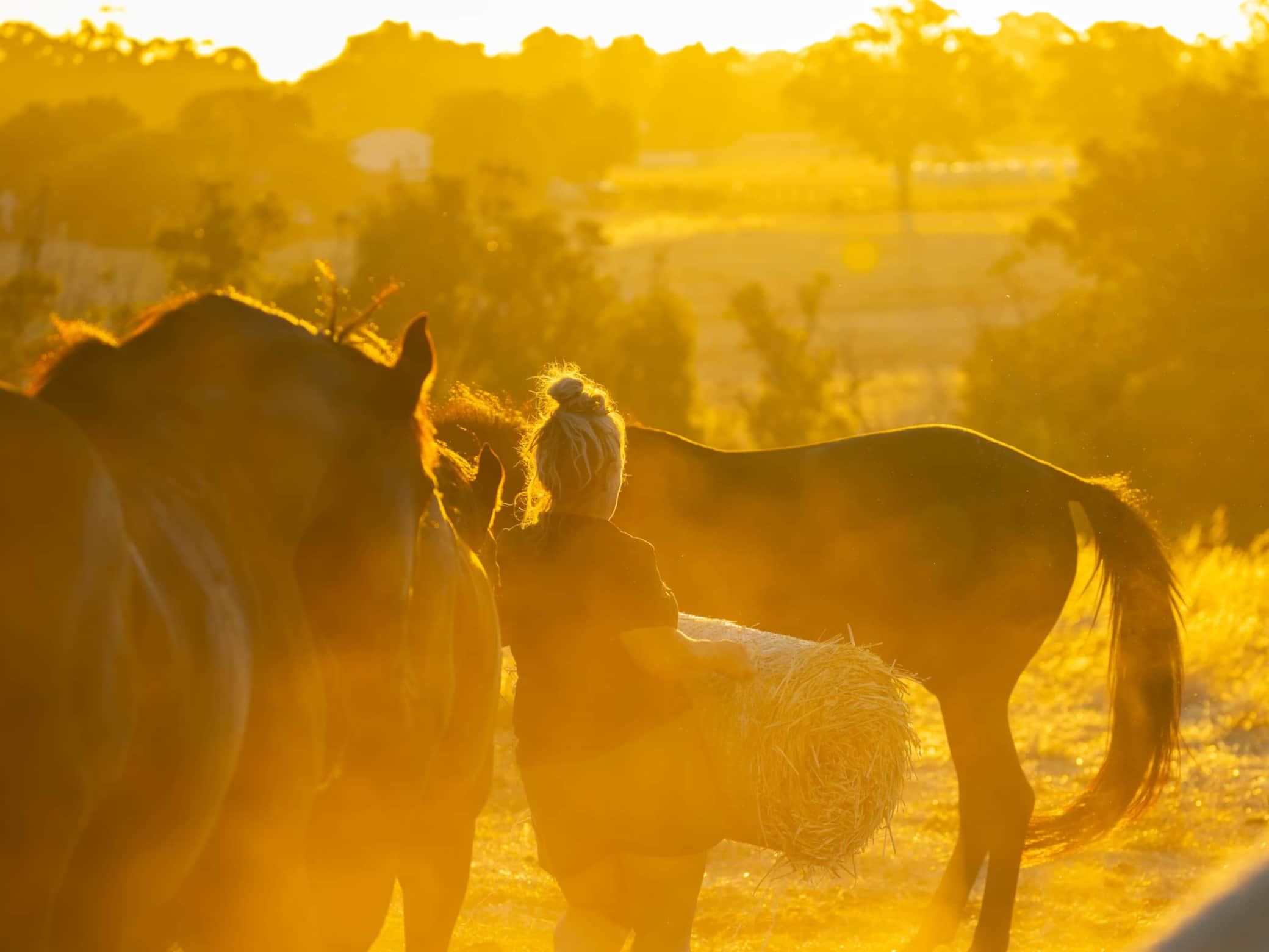 Crown Equine Retreat-145.jpg