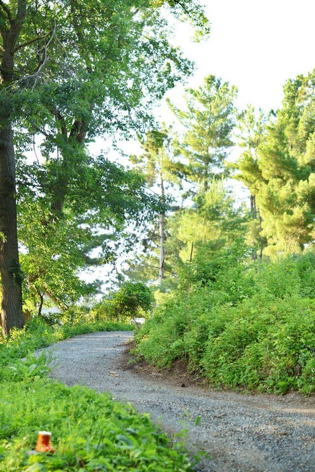 Nature view