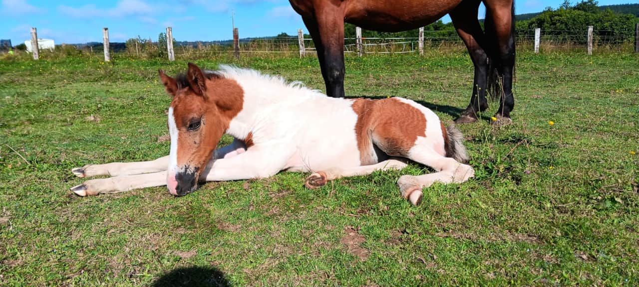 sieste au soleil