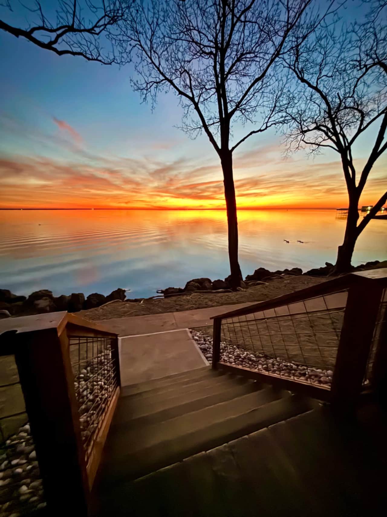 Cabins View 