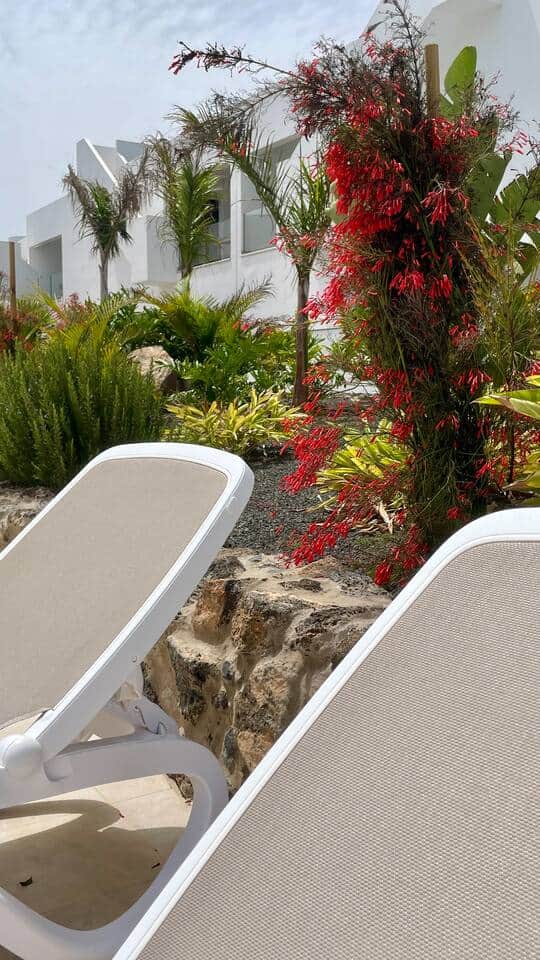 chaises longues de piscine