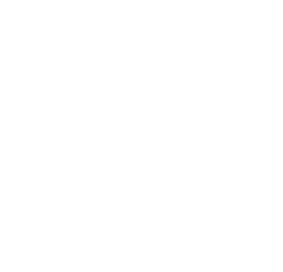 VegaHome