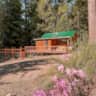 Rental image