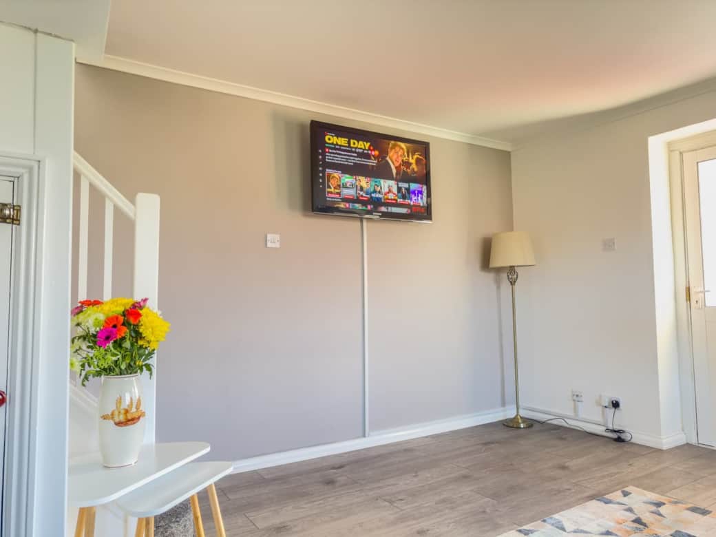 TV with Netflix