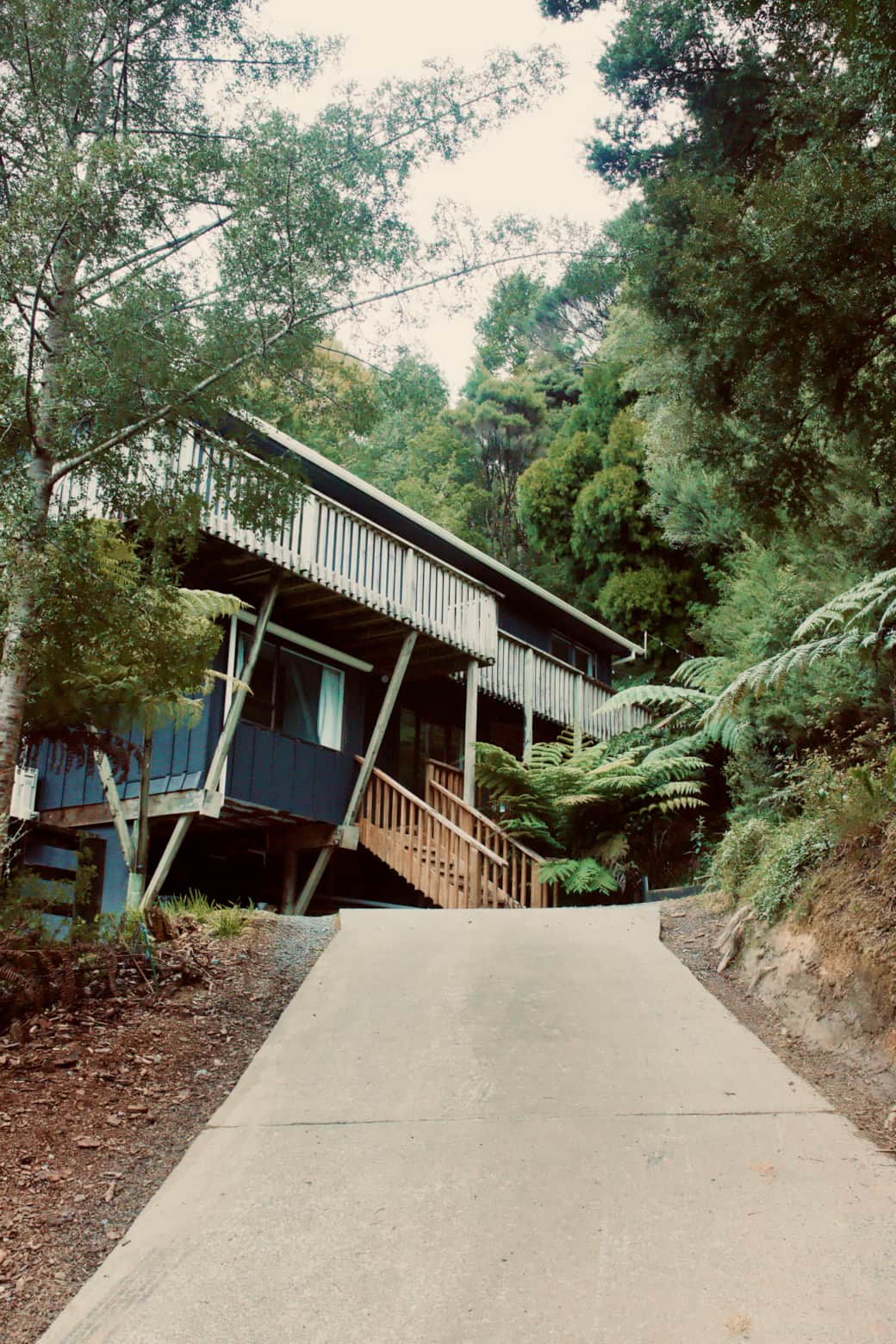 The Nest, nestled into native bush above Paihia