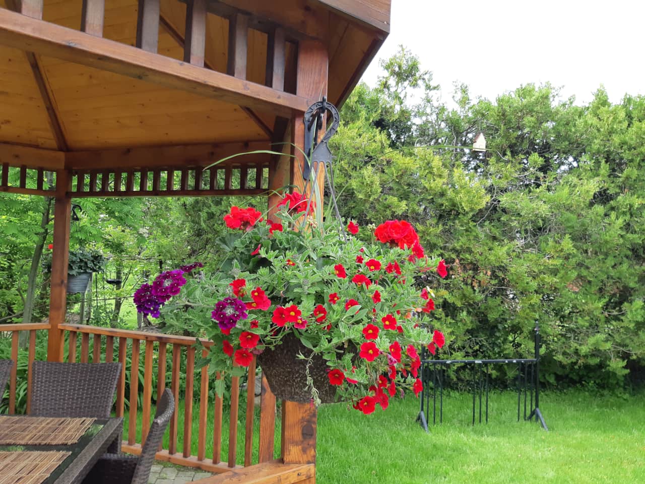 Williams Gate Bed and Breakfast - Backyard