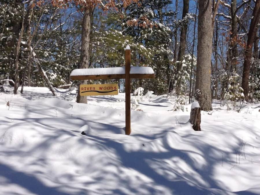 River Woods in winter