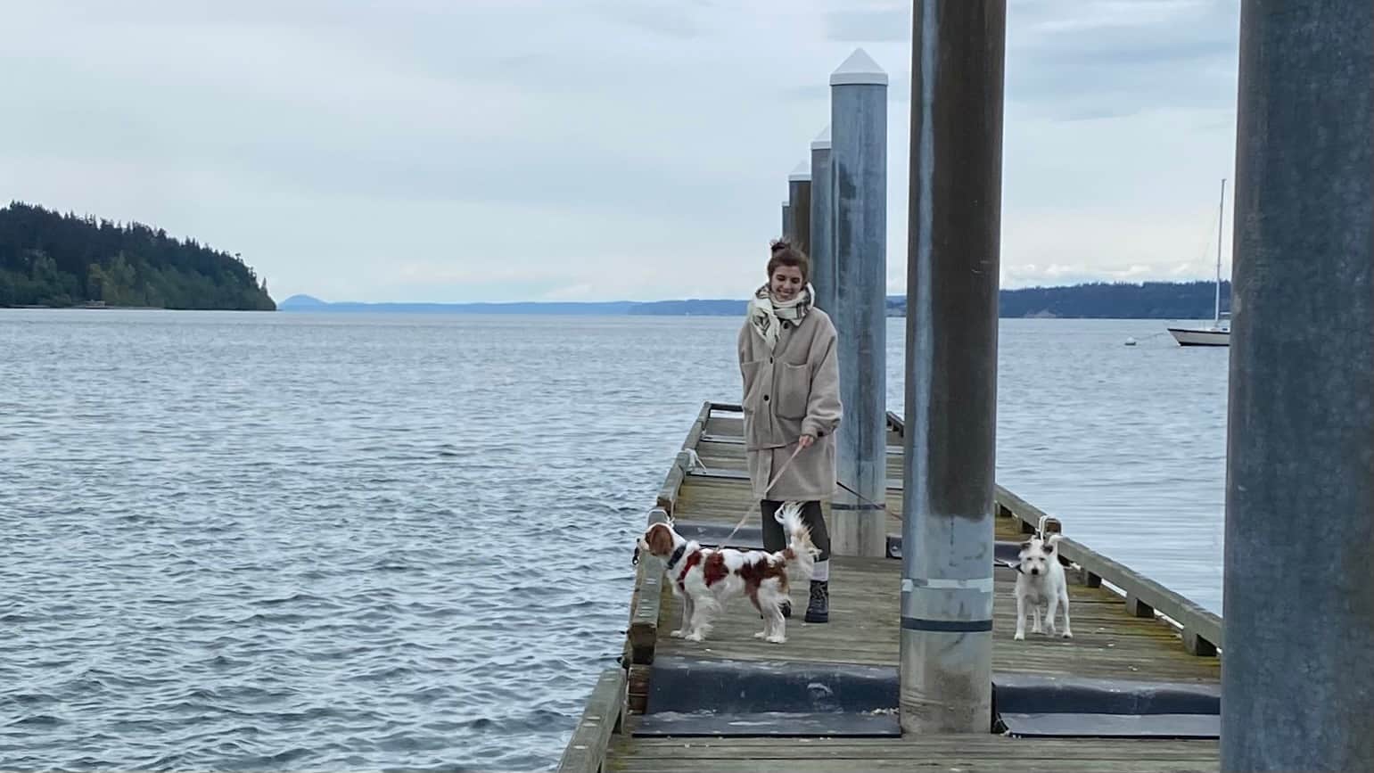 Island adventures are better with dogs. Island adventures are better with dogs.