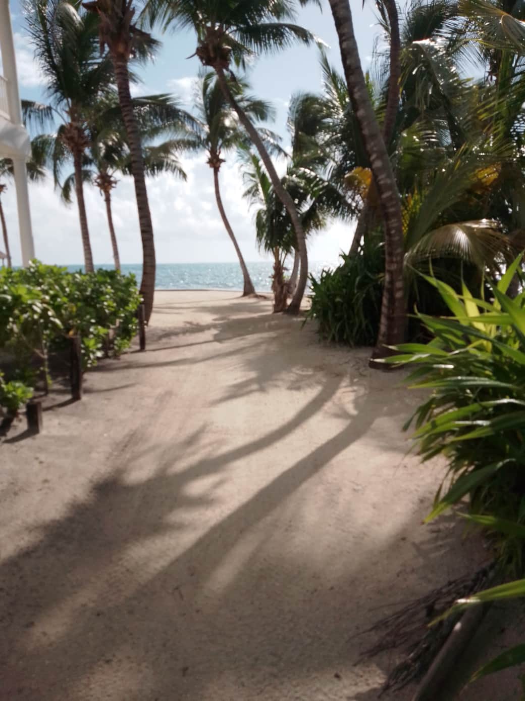 Beach Access
