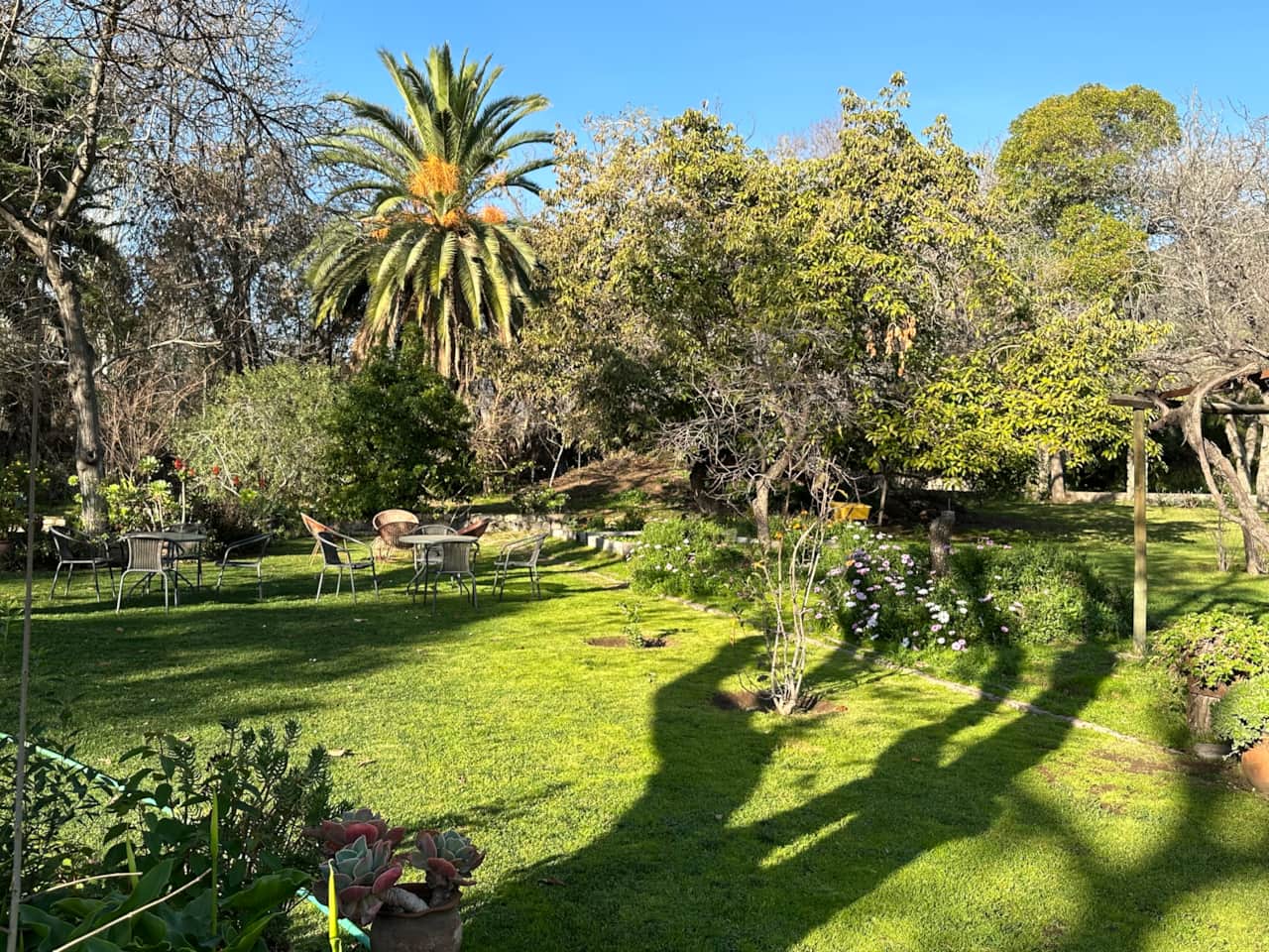 Casa Ishi Garden
