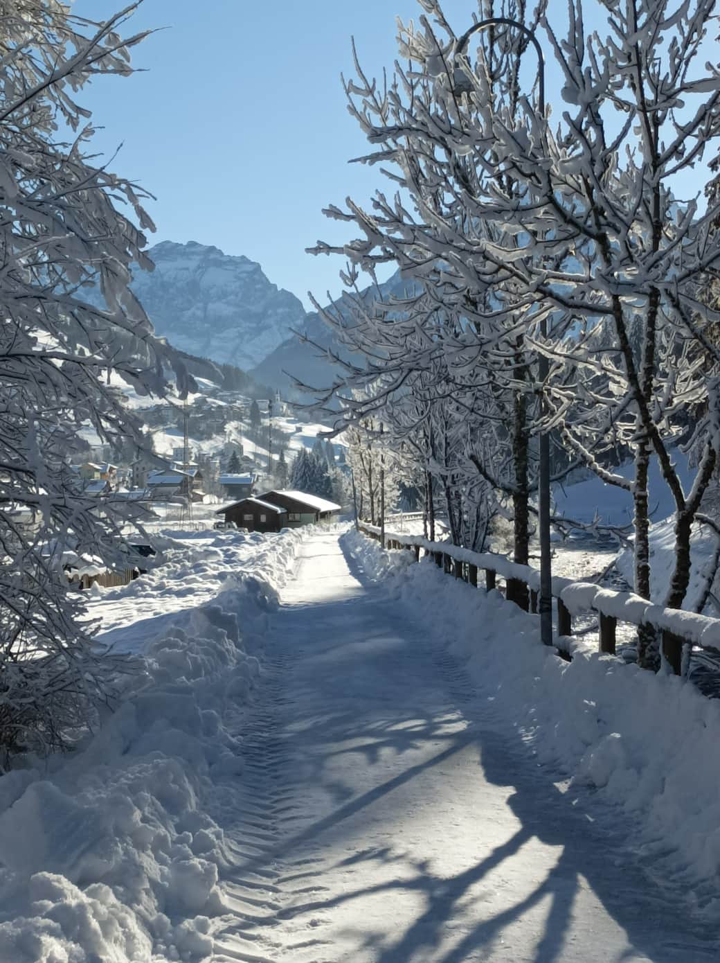 scenery winter 1