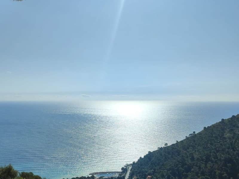 The Mediterranean and the headland below the property at midday