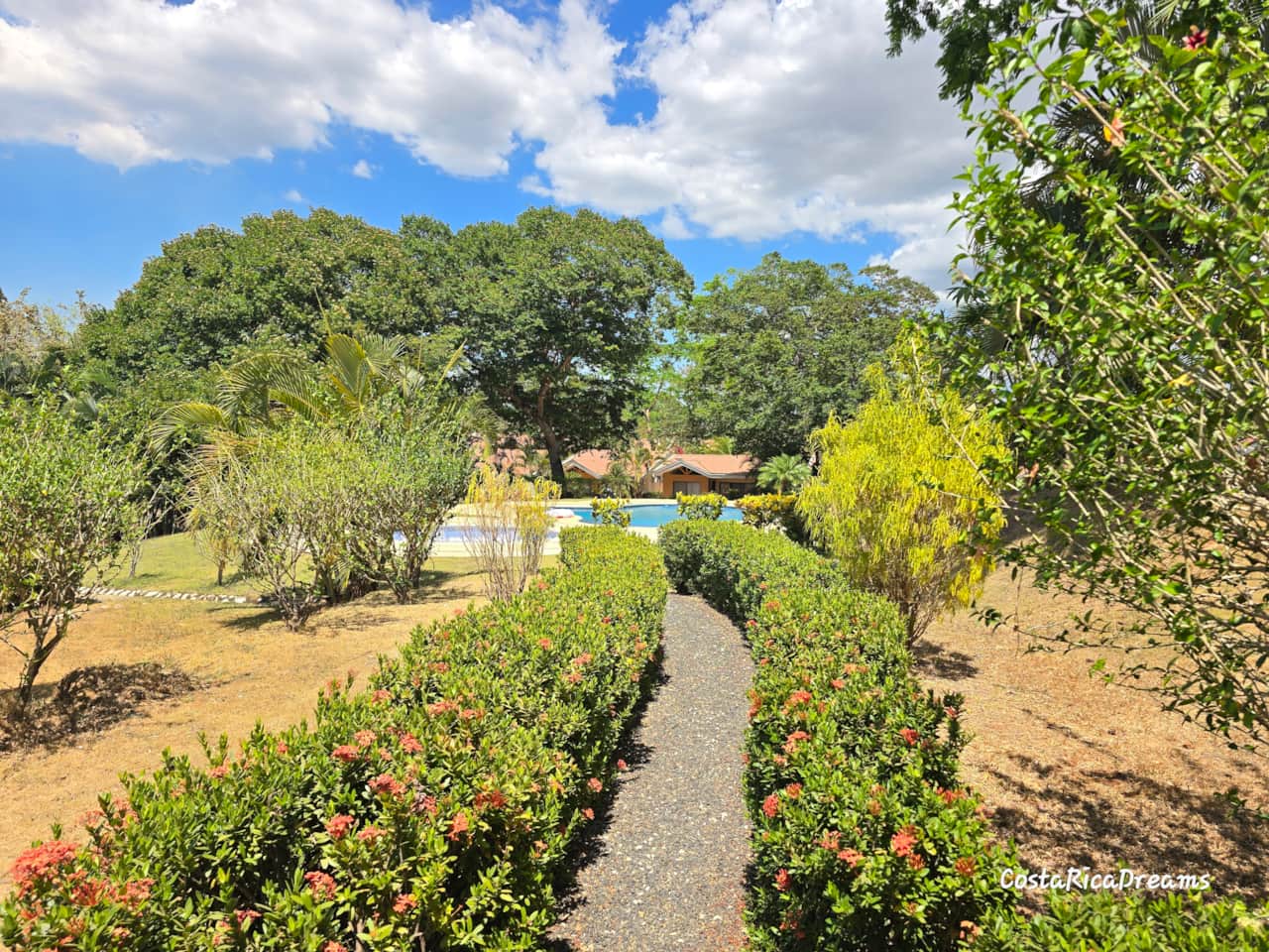 Pool and garden view
