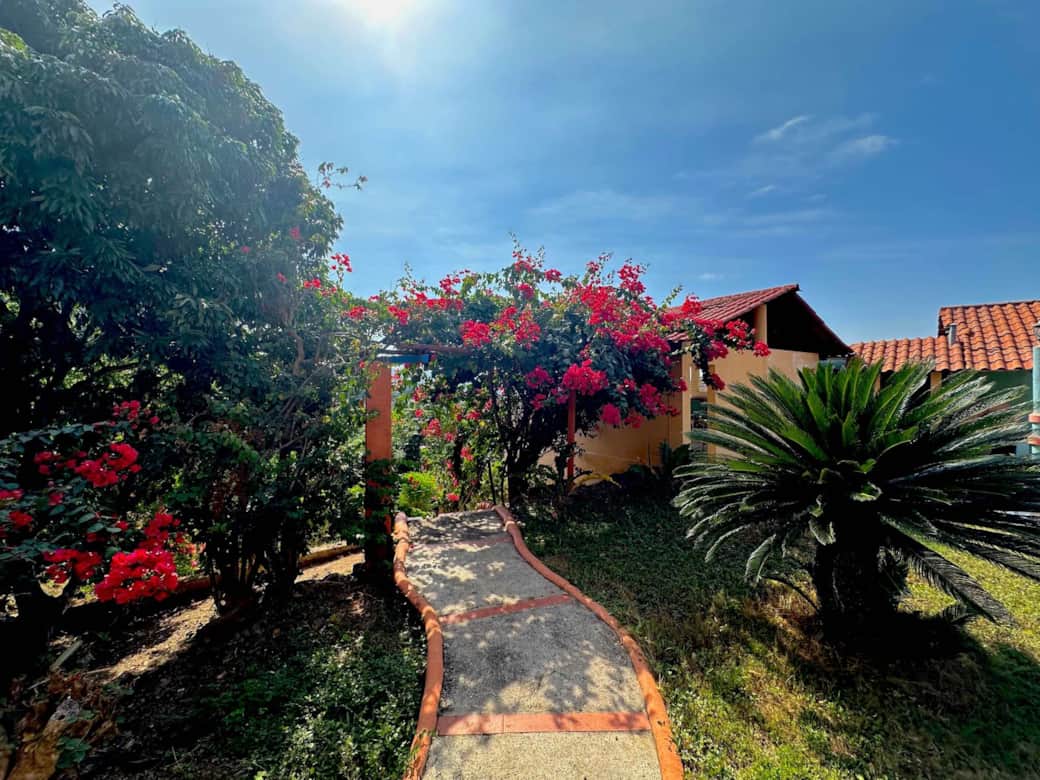 Yard bougainvillea path sunlit