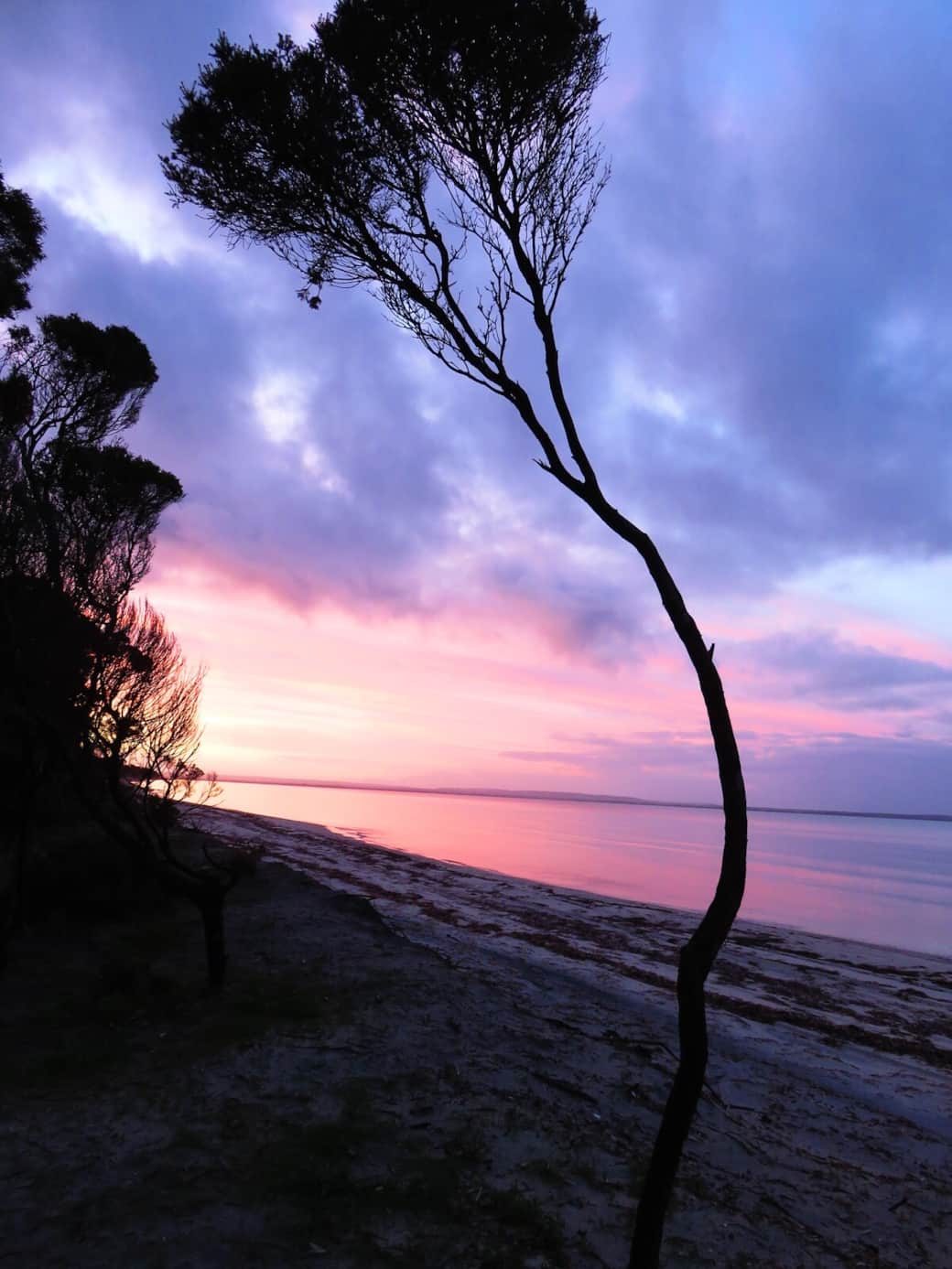 Have gorgeous walks on the beach