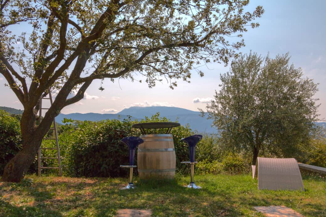 Espace terrasse gazon vue Mont Ventoux