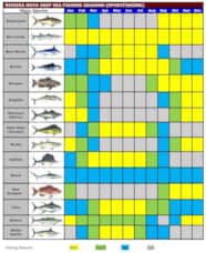 Riviera Maya Fishing