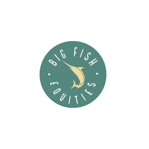 Big Fish Equities LLC