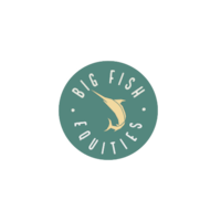 Big Fish Equities LLC